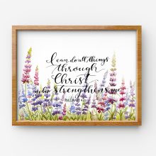 Phillipians Lupines 1