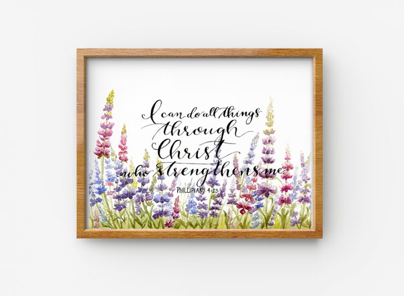 Phillipians Lupines 1