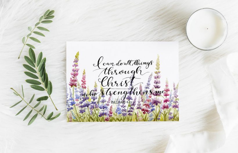 Phillipians Lupines 2