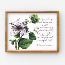 St Ephraim Syrian Caper Purple 1