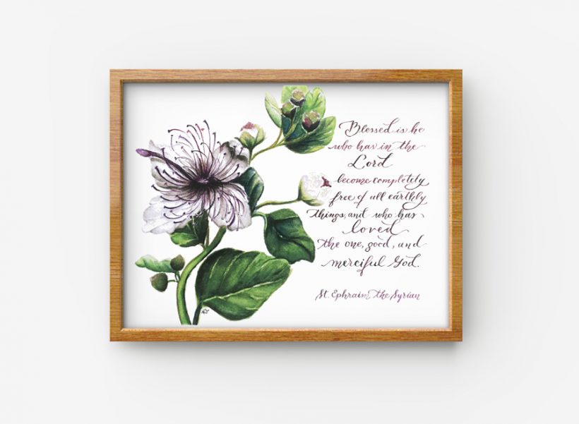 St Ephraim Syrian Caper Purple 1