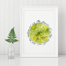 The Flowers are not New 2