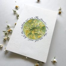 The Flowers are not New 3