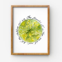 The Flowers are not new 1