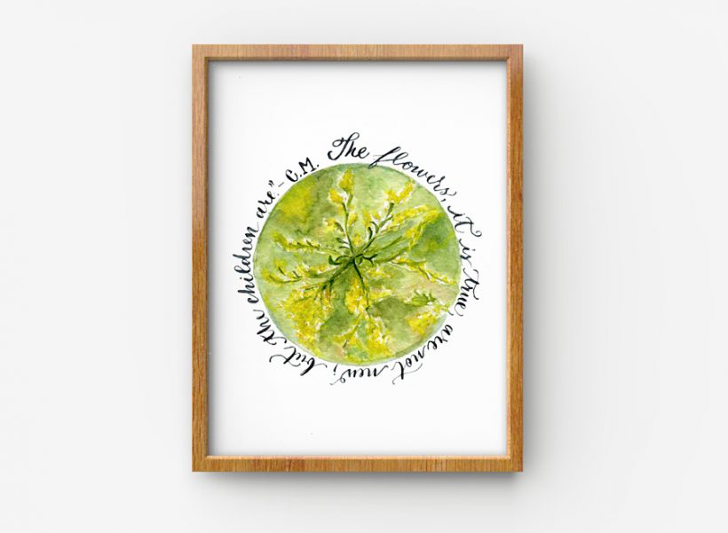 The Flowers are not new 1