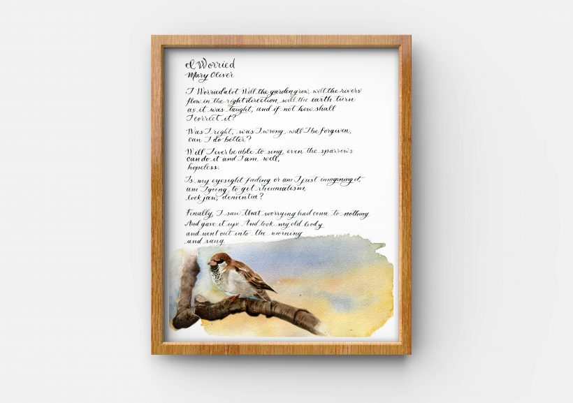 Mary Oliver product frame